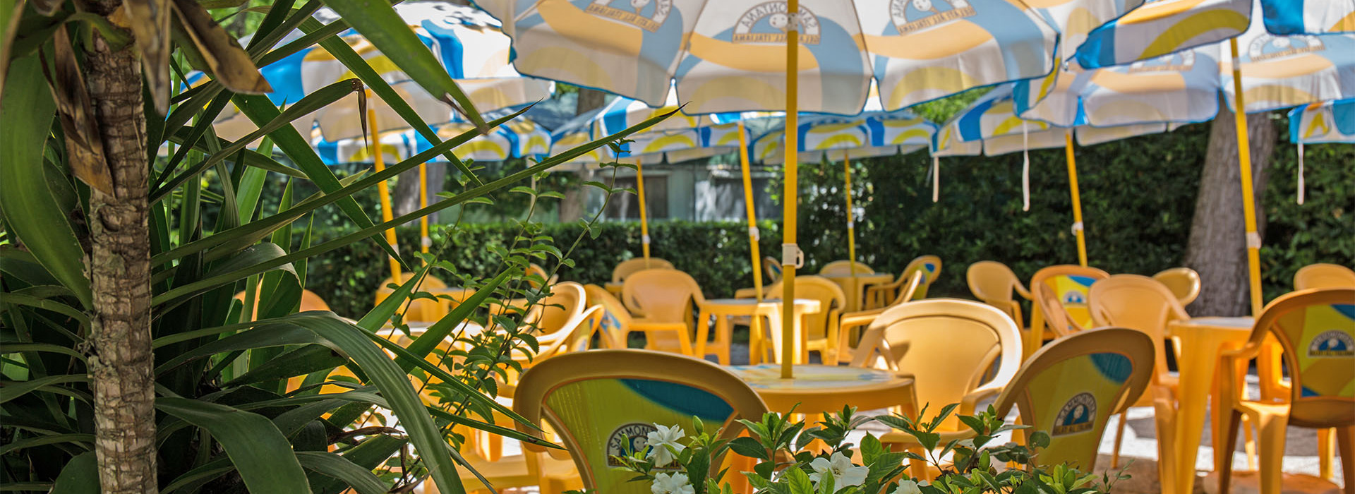 bar-camping-europa-4
