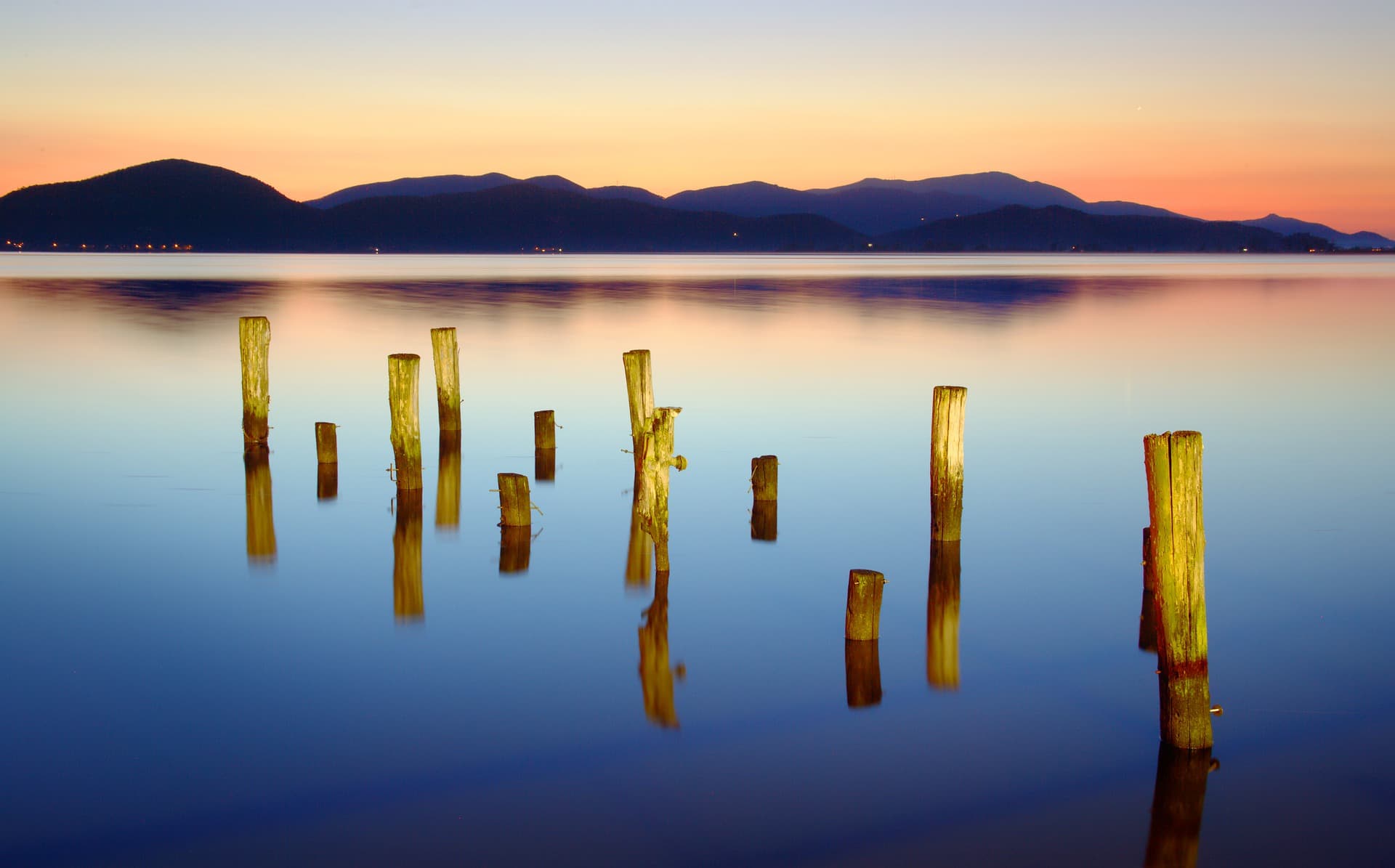 Parallax Image